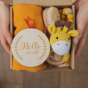 Teething Toys Gift Sets